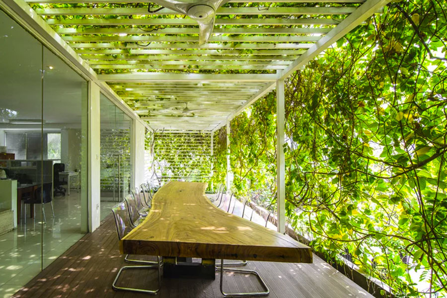 studio airmas asri, esempio di biophilic design